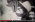 Nouvelle vidéo : Django Reinhardt à Gand en Belgique en 1943