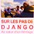 Film : "sur les pas de Django - au cœur d'un héritage" 