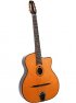 California music accoustiques distribue les guitares Saga Gitane