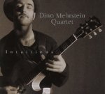 Dino Mehrstein-Intuitions