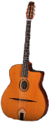 Guitare Hahl chez r&f Charle
