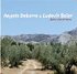 Angelo Debarre et Ludovic Beier nouveau CD "Entre ciel et terre" prévu fin aout 2006