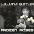 Frozen Roses