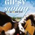 GIPSY SWING Festival d'ANGERS 2012 15ème édition