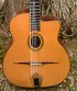 Occaz guitare Stefan Hahl d'Hono Winterstein 2500 €